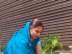 विश्व पर्यावरण दिवस पर पार्षद अर्चना सत्तू देवांगन ने किया पौधरोपण, नागरिकों से अधिक से अधिक वृक्ष लगाने की अपील*