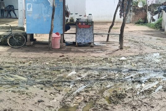 कुकूसदा पंचायत में बदहाल सड़क और नाली व्यवस्था से ग्रामीण त्रस्त, सुशासन में शिकायत होने के बाद भी नहीं हुई कोई कार्यवाही
