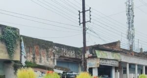यादव समाज मुंगेली के तत्वाधान में धूमधाम से किया गया भोजली विसर्जन