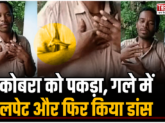 शराब के नशे में कोबरा को गले में लपेटकर घूमता रहा युवक, डांस करते वक्त सांप ने कई बार डसा; अस्पताल से भी भागा