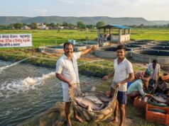 बदलाव की मिसाल : बदली किसानों की किस्मत प्रधानमंत्री मत्स्य संपदा योजना से
