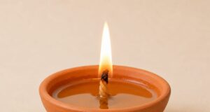 सेवा संकल्प अभियान के सफल क्रियान्वयन को लेकर प्रभारी मंत्री श्री गुरु खुशवंत साहेब ने ली वर्चुअल बैठक