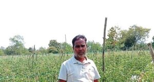 सेवा की कहानी : कम पानी में खीरे की खेती से मुकेश ने कमाए 2.25 लाख रुपये, अब 4 एकड़ में टमाटर की तैयारी