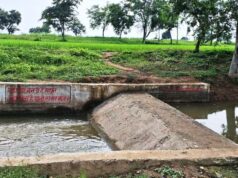 सेवा संकल्प अभियान: सेवा की कहानी : बहकर निकल जाता था बारिश का पानी, चेकडेम ने खेतों तक पहुंचाया सिंचाई का सहारा