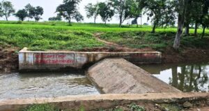 सेवा संकल्प अभियान: सेवा की कहानी : बहकर निकल जाता था बारिश का पानी, चेकडेम ने खेतों तक पहुंचाया सिंचाई का सहारा