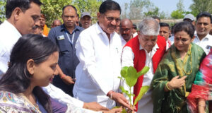 मंत्री दयालदास बघेल ने किया पौधरोपण, दिया पर्यावरण संरक्षण का संदेश – ’पर्यावरण के बिना जीवन संभव नहीं’