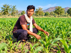 सेवा की कहानी : किसान समृद्धि योजना से मनोज के खेतों में आई हरियाली, बढ़ी खुशहाली