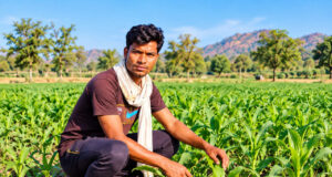 सेवा की कहानी : किसान समृद्धि योजना से मनोज के खेतों में आई हरियाली, बढ़ी खुशहाली