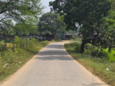 विशेष लेख : जनकल्याणकारी योजनाओं से ग्रामीण विकास को गति, आजीविका के नए अवसरों से मजबूत हो रहा सरगुजा