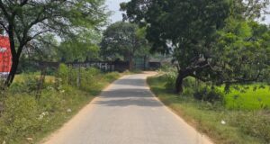 विशेष लेख : जनकल्याणकारी योजनाओं से ग्रामीण विकास को गति, आजीविका के नए अवसरों से मजबूत हो रहा सरगुजा