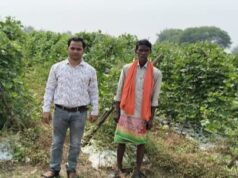 परंपरागत कृषि छोड़ बीज उत्पादक बने किसान, आय में 75 प्रतिशत का हुआ इजाफा
