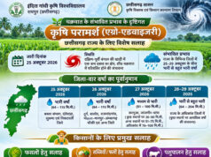 चक्रवात के प्रभाव से छत्तीसगढ़ में बढ़ेगी वर्षा की गतिविधियां, किसानों के लिए मौसम आधारित सलाह जारी
