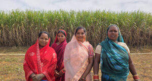 मुख्यमंत्री श्री विष्णु देव साय के नेतृत्व में बिहान योजना से आत्मनिर्भर बन रहीं ग्रामीण महिलाएं, गन्ने की खेती से ममता राजवाड़े ने बढ़ाई आमदनी