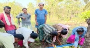 तसर पालन से बढ़ेंगे ग्रामीणों की आमदनी के अवसर