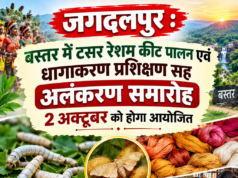 बस्तर में टसर रेशम कीट पालन एवं धागाकरण प्रशिक्षण सह अलंकरण समारोह 2 अक्टूबर को होगा आयोजित